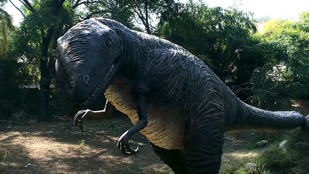 dinosaur and fossil park
